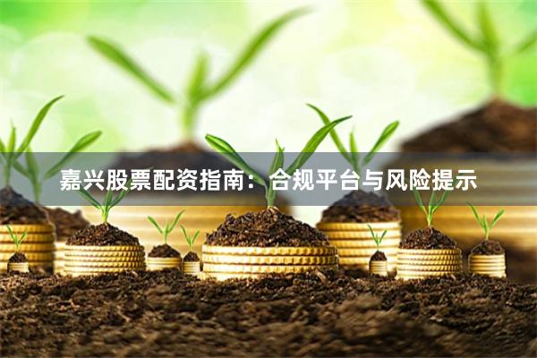 嘉兴股票配资指南：合规平台与风险提示